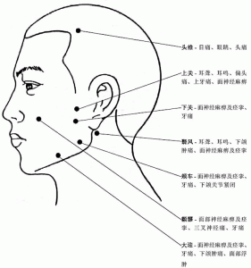 人体穴位有哪些（人体最全穴位图和作用）