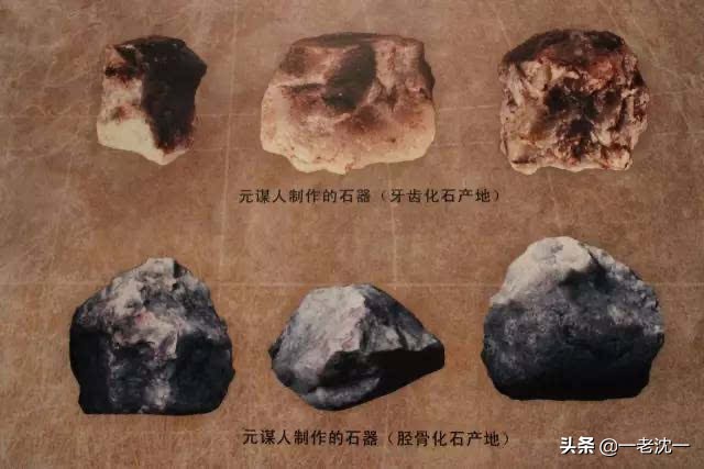 中国的旧石器时代有多少年历史（一文全解）