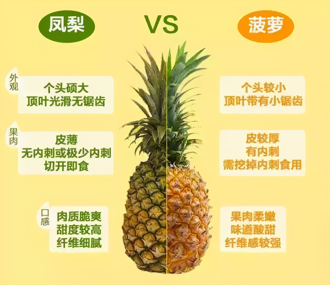 凤梨是菠萝吗（凤梨和菠萝的区别）