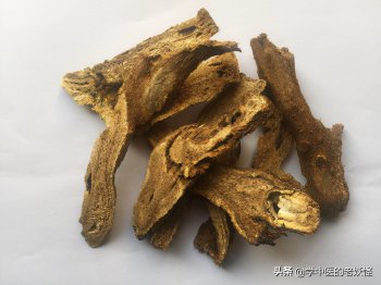 木香是什么（木香的功效和作用）