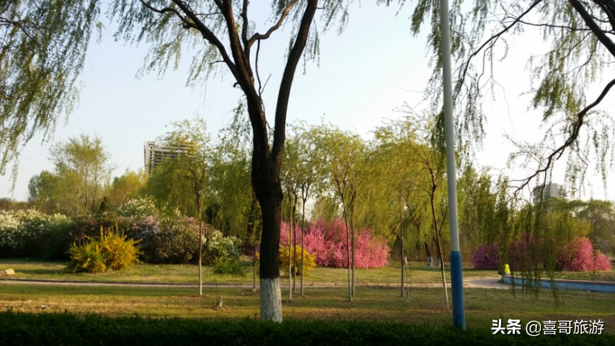 盘锦必去的十大景点有哪些（盘锦必去的十大景点推荐）