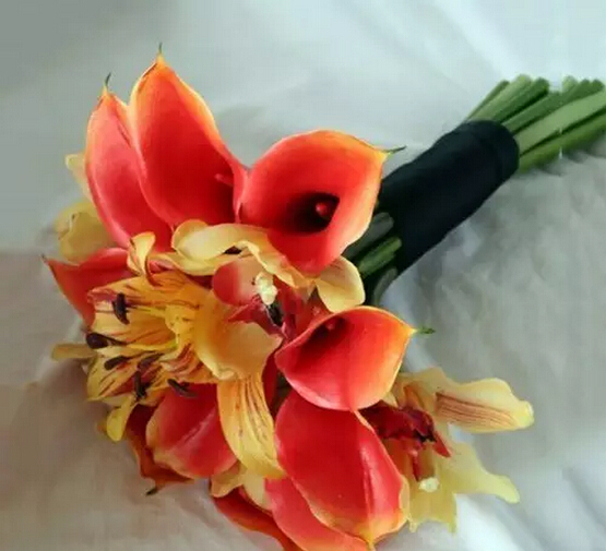 马蹄莲的花语是什么（马蹄莲的花语和特征）