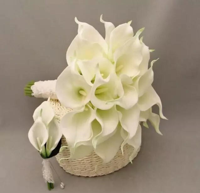 马蹄莲的花语是什么（马蹄莲的花语和特征）