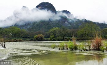 什么是二分法（二分法的运用）