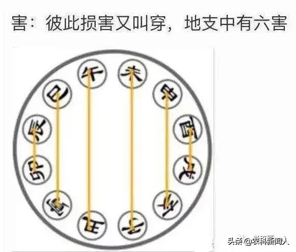 干支与五行什么意思（干支与五行相生相克运用法则）