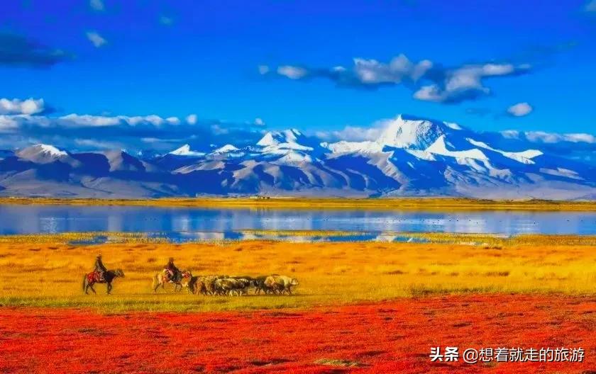 西藏阿里在什么位置（西藏阿里的地理位置）