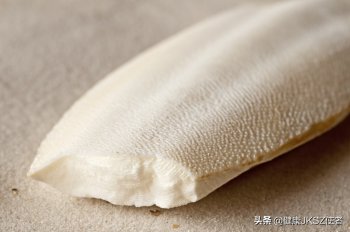 海螵蛸有什么功效（海螵蛸的功效与作用）