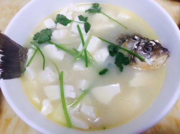 鲤鱼汤怎么做_鲤鱼豆腐汤的家常做法