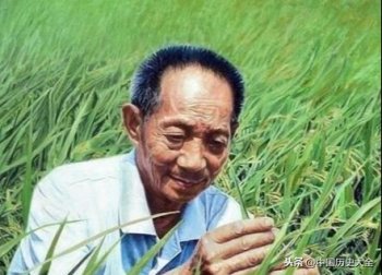 袁隆平哪年开始研究杂交水稻-一文解答