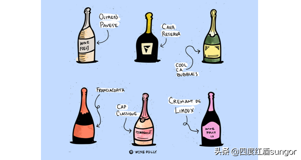 葡萄酒怎么喝 _葡萄酒的正确喝法