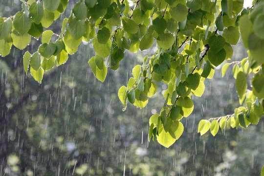 有关雨的成语有哪些_有关雨的成语和解析