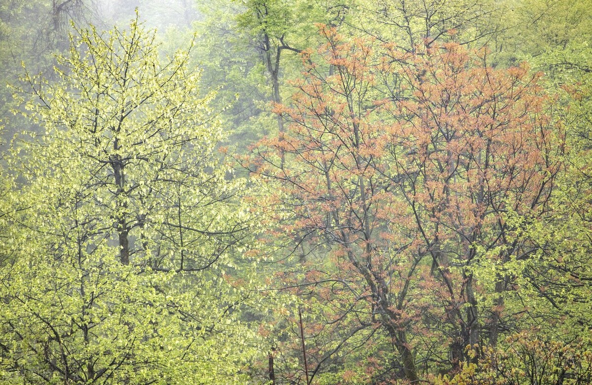 有关雨的成语有哪些_有关雨的成语和解析