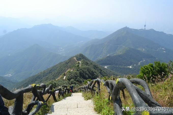 梧桐山在哪里_梧桐山地名的由来和地理位置