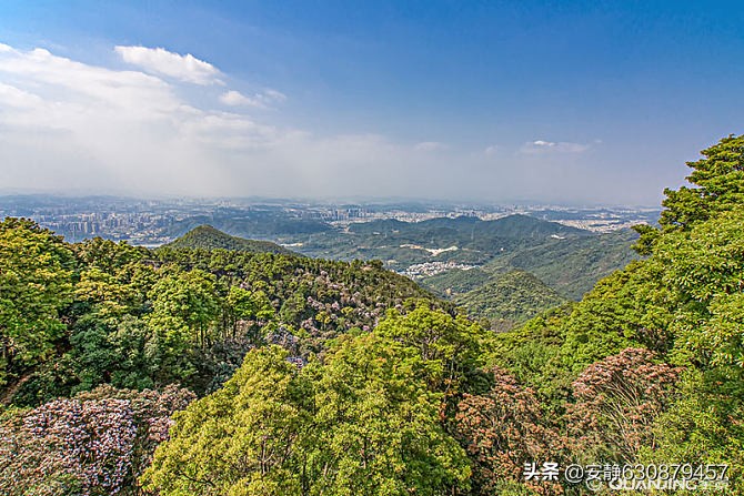 梧桐山在哪里_梧桐山地名的由来和地理位置