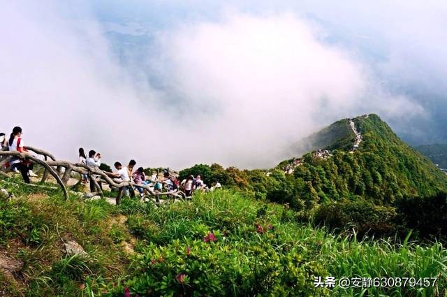 梧桐山在哪里_梧桐山地名的由来和地理位置