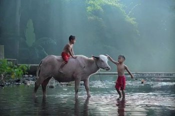 孟子人性本善的观点启示_孟子人性本善原文