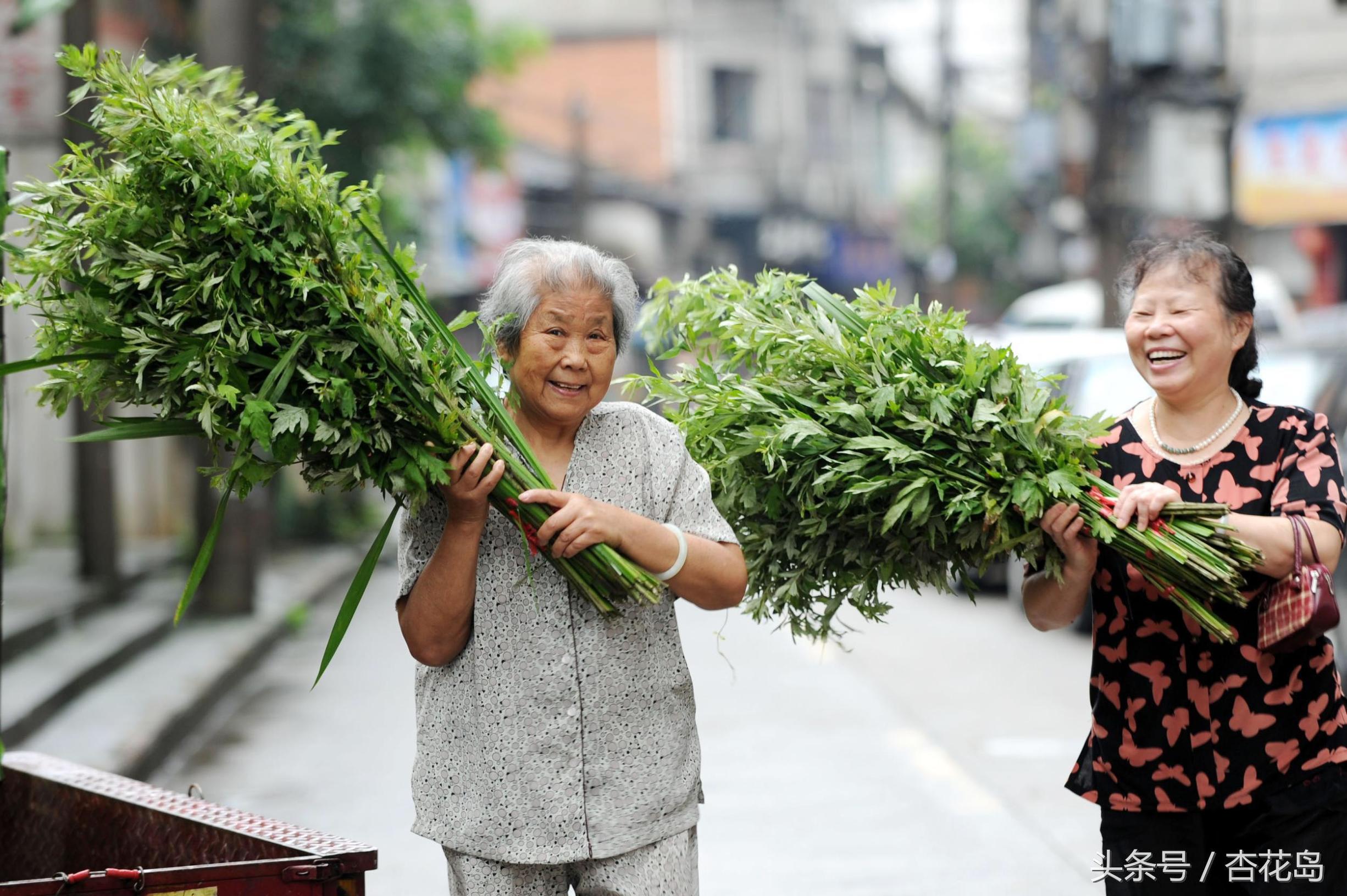 端午挂艾草是什么意思_端午挂艾草的寓意和习俗