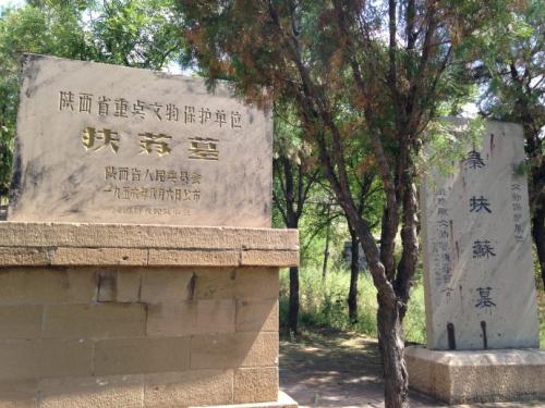 焚书坑儒怎么回事_焚书坑儒的历史典故