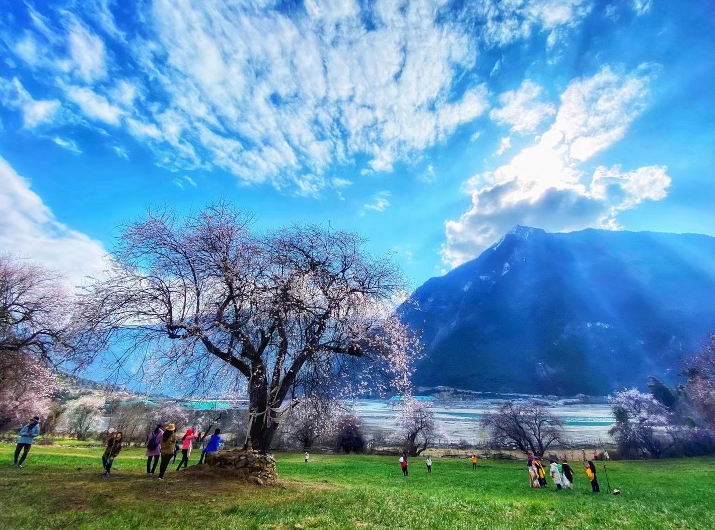 几月去西藏旅游好_去西藏旅游的日期推荐