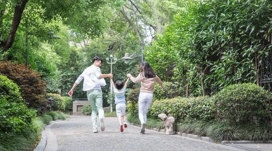 如何讲解孔融让梨的故事_孔融让梨的真实故事