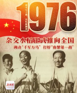 杂交水稻是哪一年_杂交水稻的诞生