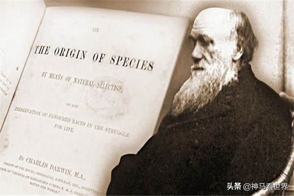 达尔文进化论的观点是什么_达尔文进化论的观点详情