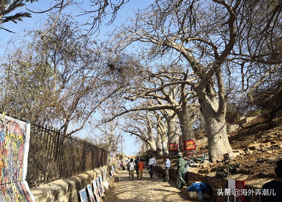 奴隷岛在哪_奴隷岛的地理位置及攻略