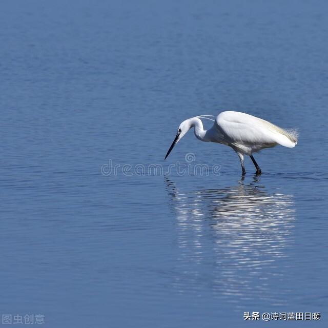 渔歌子什么意思_渔歌子古诗翻译