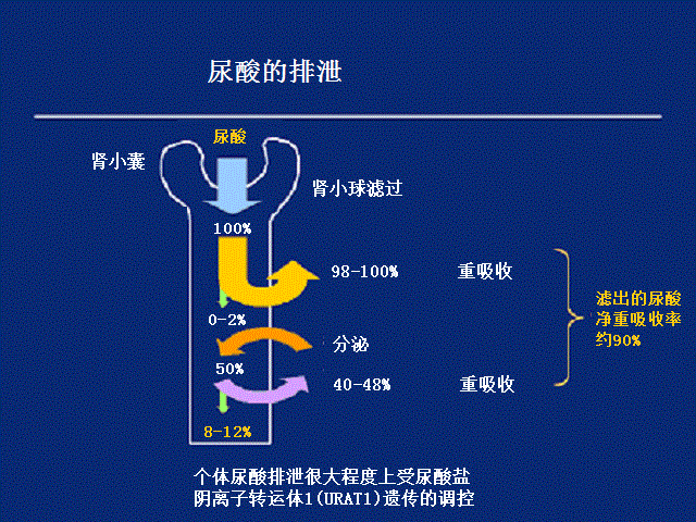 一天喝多少水最好_喝水的讲究及正确喝法