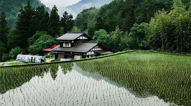 合村并居是谁提出来的_合村并居的政策和意义