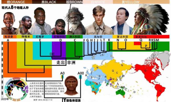 人类第一个祖先是谁_人类第一个祖先的诞生