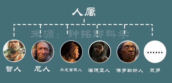 人类第一个祖先是谁_人类第一个祖先的诞生
