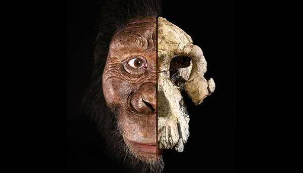 人类第一个祖先是谁_人类第一个祖先的诞生