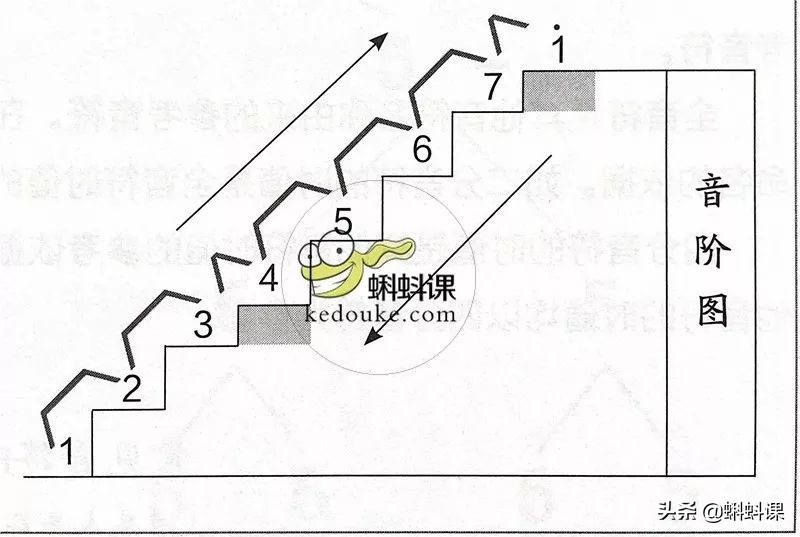 如何看懂乐谱_看懂乐谱的技巧