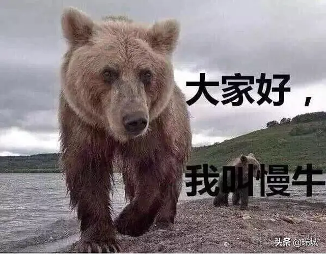 与时俱进什么意思_与时俱进的含义