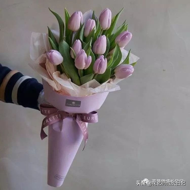 紫色郁金香的花语是什么_各种颜色郁金香的花语