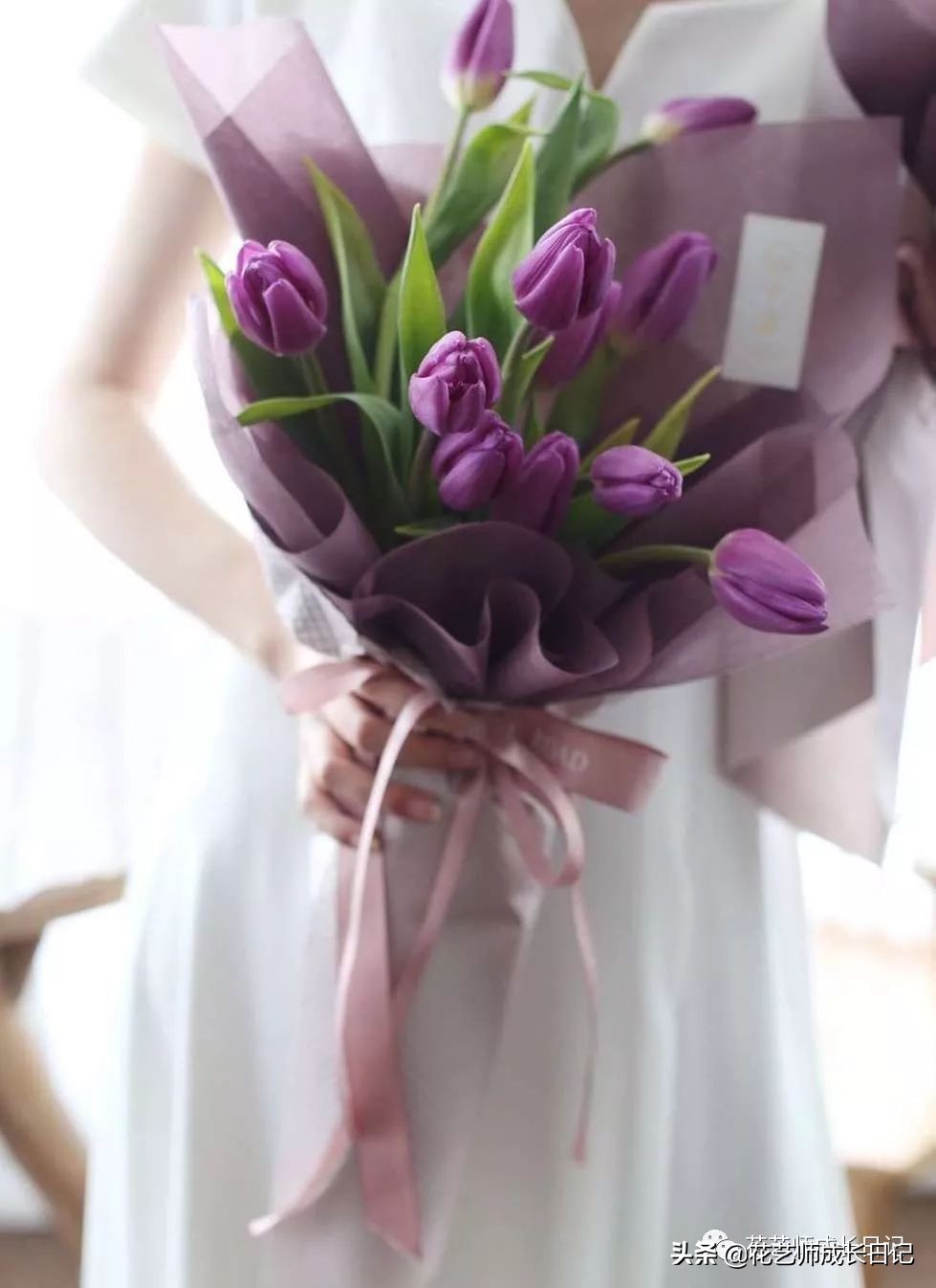 紫色郁金香的花语是什么_各种颜色郁金香的花语