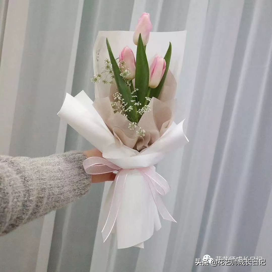 紫色郁金香的花语是什么_各种颜色郁金香的花语