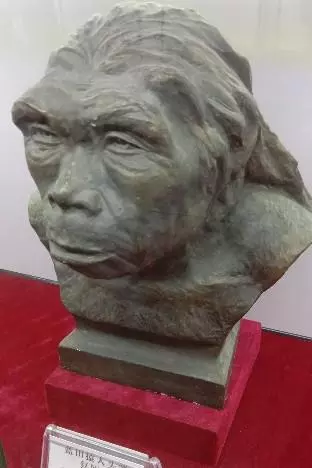 华胥是谁_华胥的基本概况
