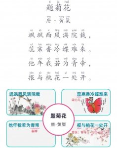 题菊花什么意思_题菊花的原文及解析