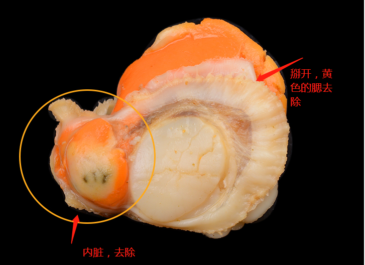 扇贝肉怎么处理干净_扇贝肉的清洗方法