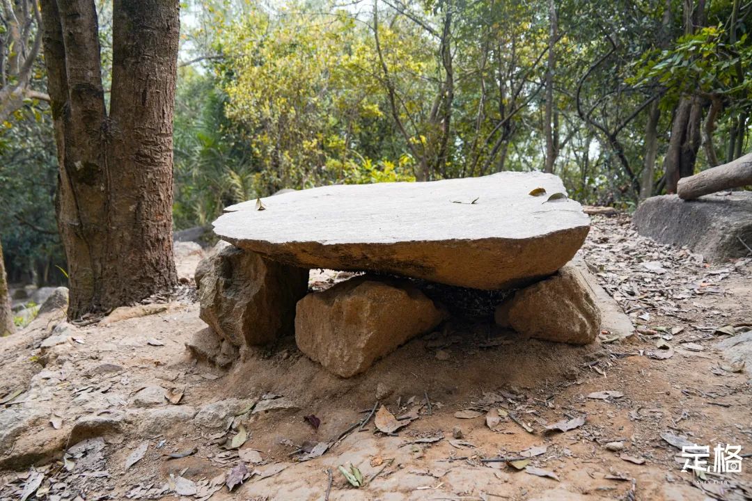 深圳有哪些地方好玩_深圳好玩的地方推荐