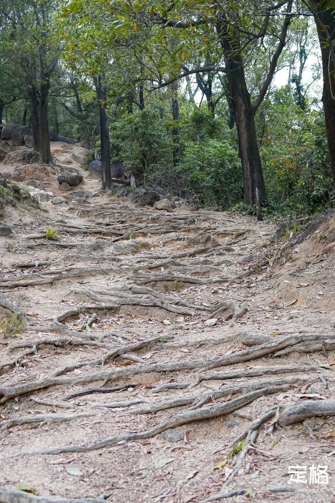 深圳有哪些地方好玩_深圳好玩的地方推荐