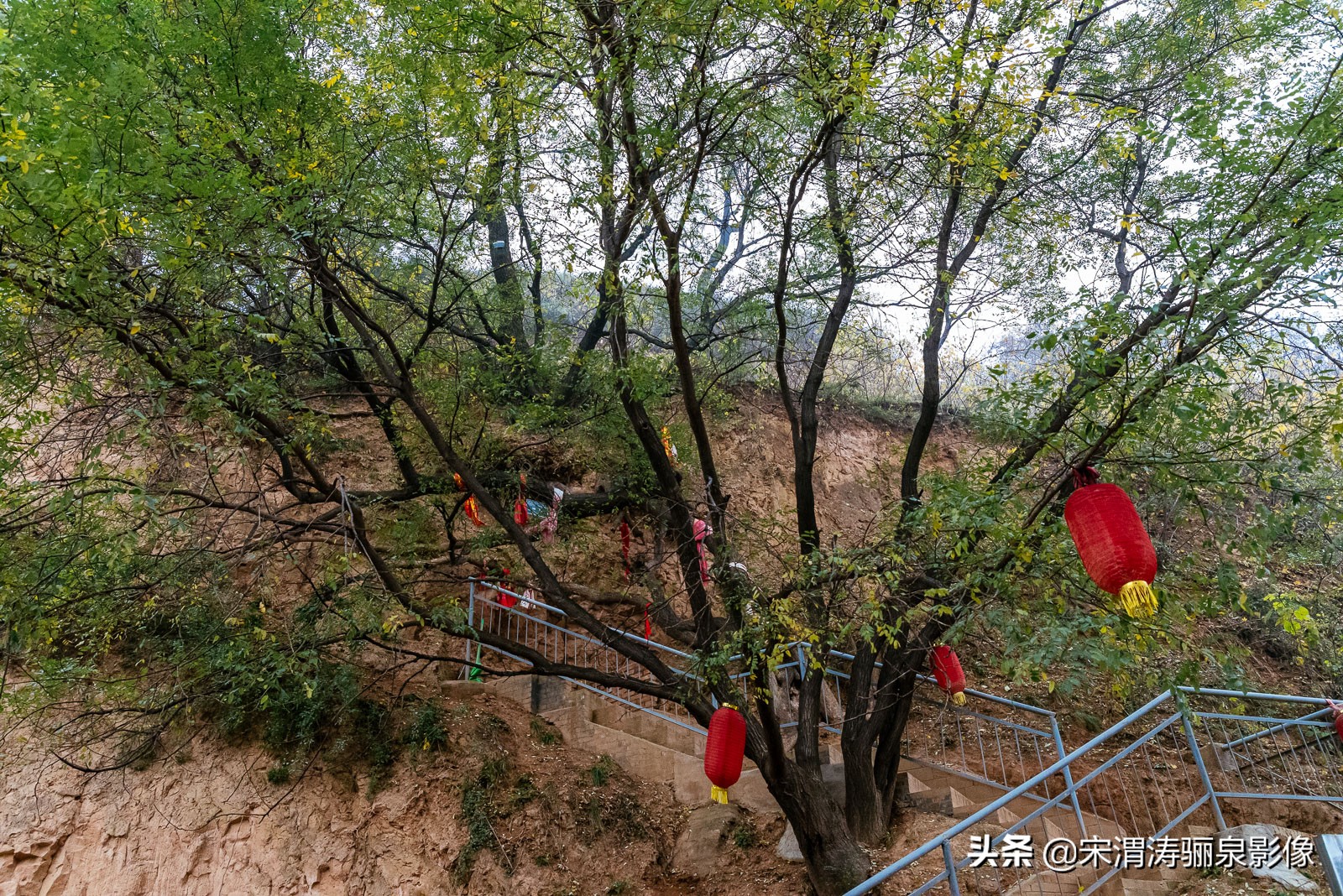 穆柯寨在哪里_穆柯寨的地理位置
