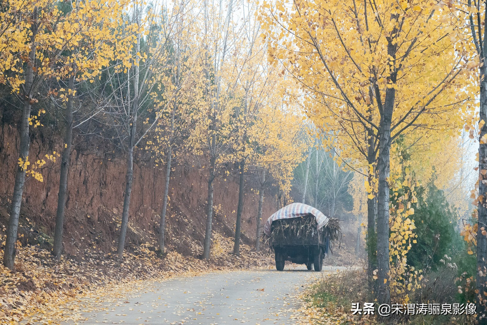 穆柯寨在哪里_穆柯寨的地理位置