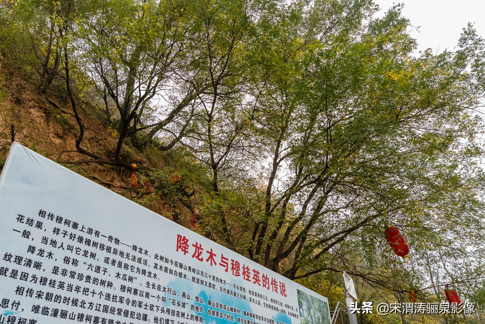 穆柯寨在哪里_穆柯寨的地理位置