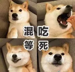 颐指气使是什么意思_颐指气使的寓意