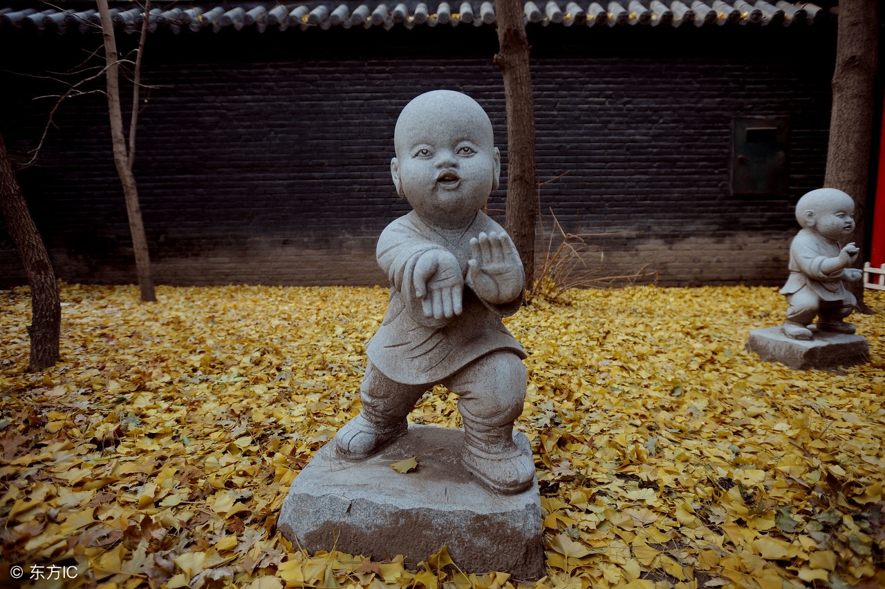 沙弥戒什么意思_沙弥戒的概念