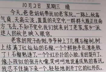 高考哪种字体占优势_高考字体的重要性