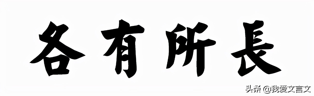 物各有短长什么意思_物各有短长原文解析